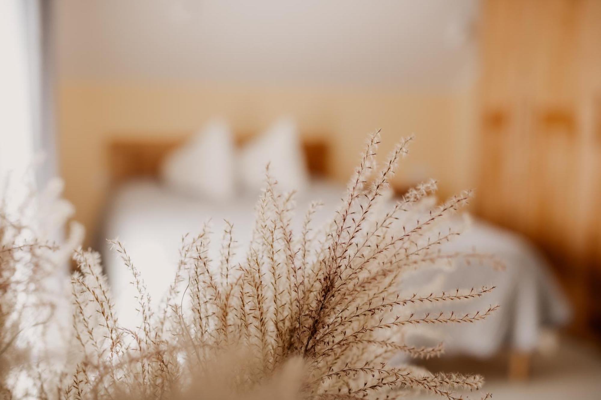 Saules Iela 2A Aparthotel Saldus ห้อง รูปภาพ